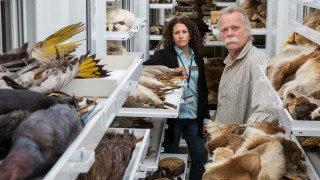 Scientists stand amongst open drawers of a vertebrates collection. 