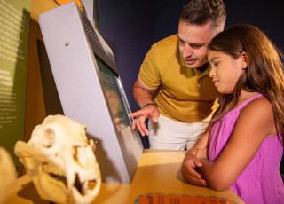 Guests engage with an exhibit element in Wild World