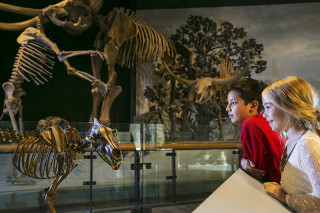 Two kids observing fossils of the Ice Age.