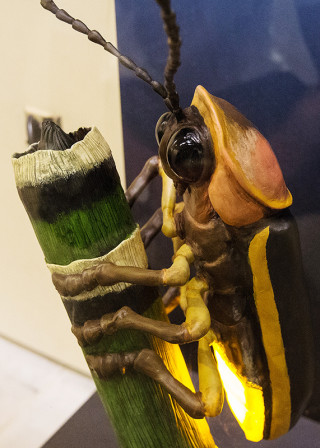 An enlarged model of a firefly. 