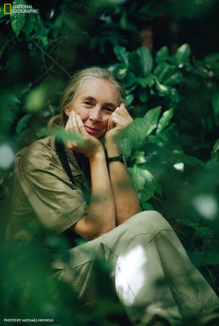 A portrait of Jane sitting in the jungle. 