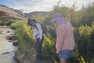 Two teachers look at a river with wetland plants around them