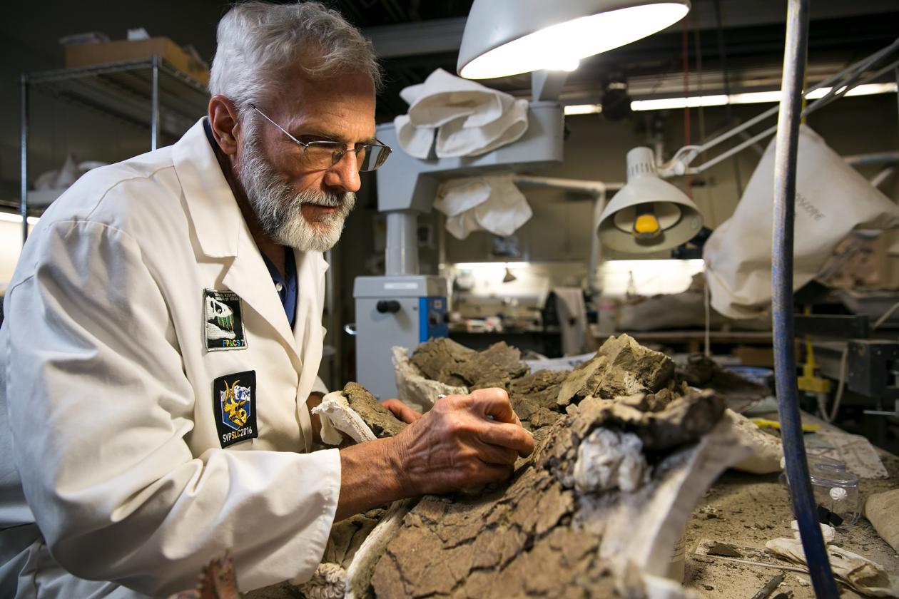 [image] A Labor of Love: Museum Paleontology Volunteers Ann and Randy Johnson