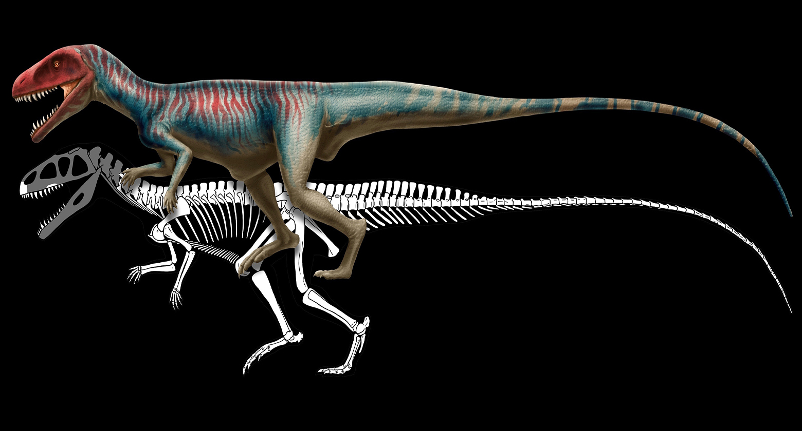 poposaurus rex