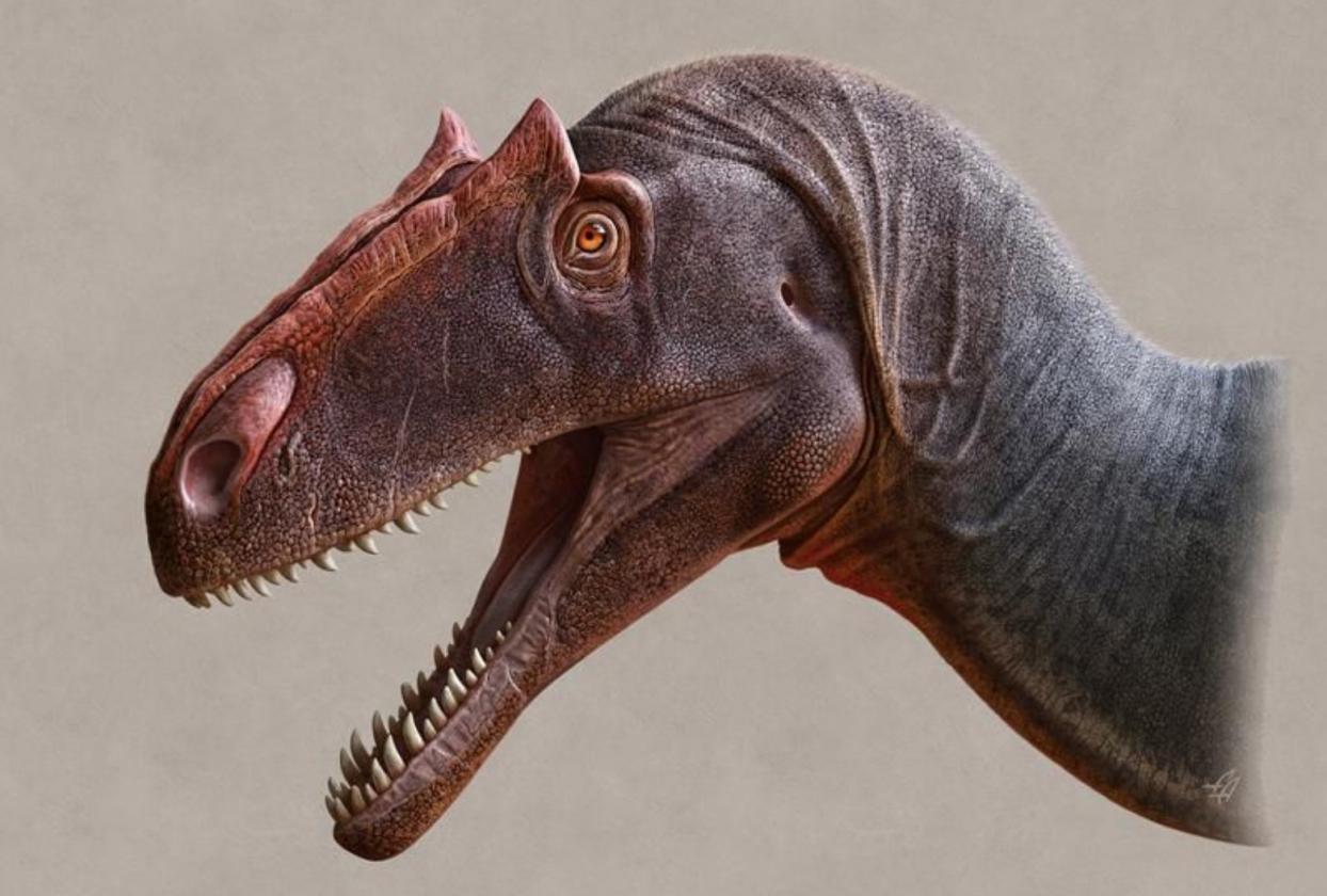 [image] Skull Secrets Distinguish Utah's Newest Dinosaur