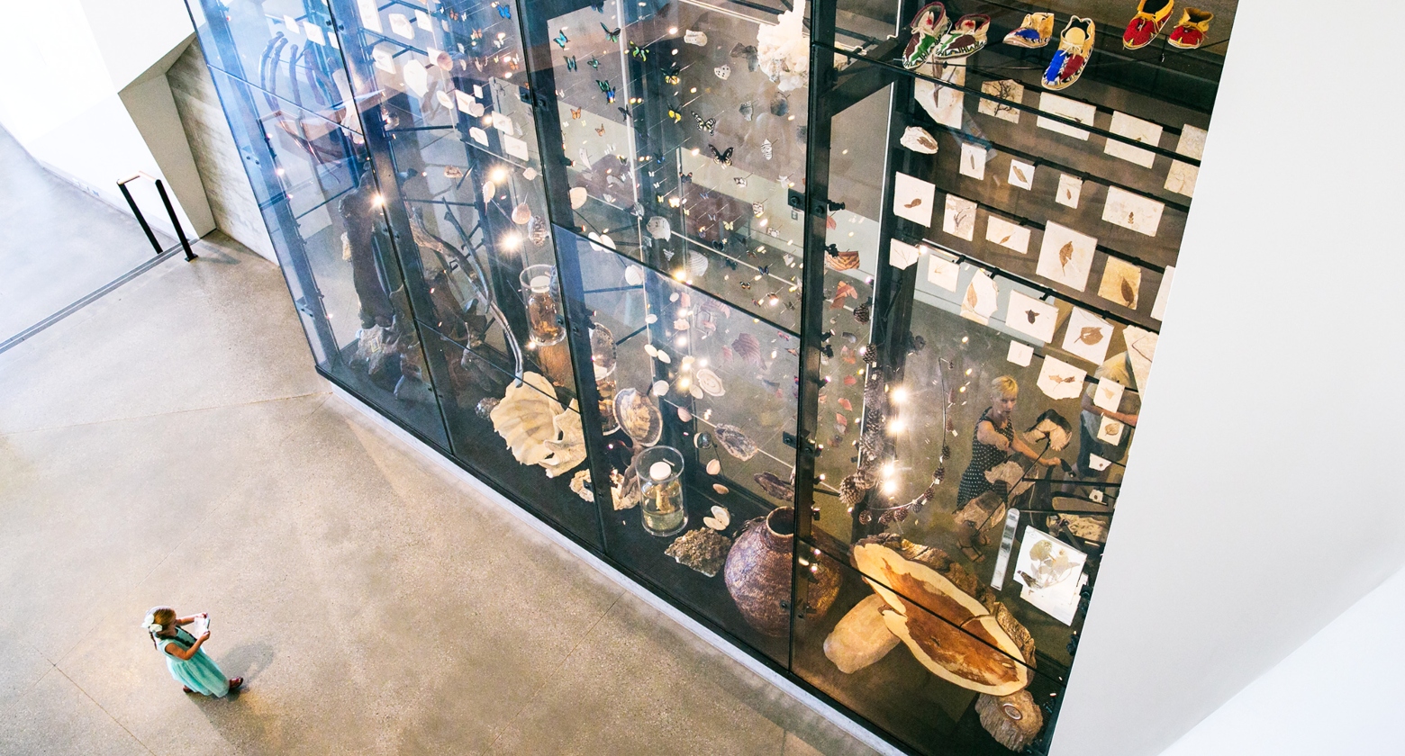 [image] The Museum's Wall of Wonders