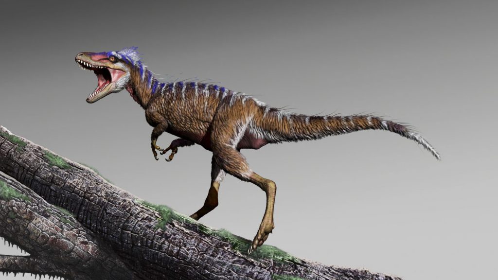 [image] Tiny Tyrant Stalked Utah Before T. rex