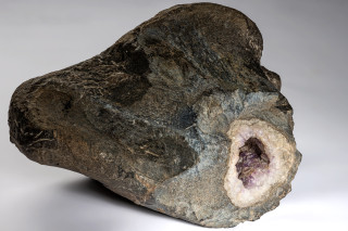 A fossil of an upper leg bone of the meat-eating dinosaur Allosaurus that has been fossilized with amethyst crystals inside