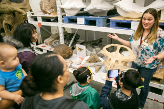 Carrie shows guests fossils in collections.