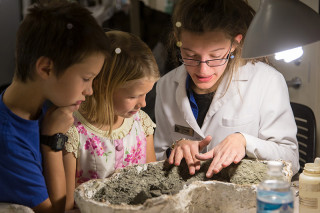 A museum volunteer shows a fossil to two children.