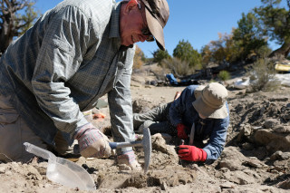 Volunteers excavate a fossil in the desert. 