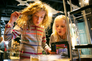 Students interact with an exhibit at a museum.