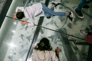 Students visit a dinosaur museum.