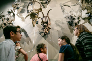 Students visit a dinosaur museum.