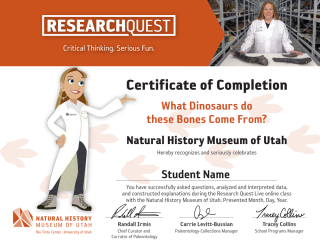Research Quest certificate