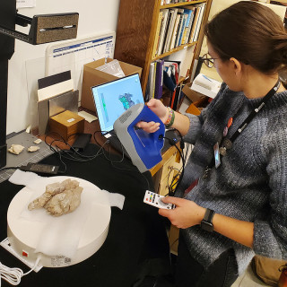 A volunteer scans a fossil in the Museum&#039;s paleontology collections.