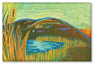 An illustration of a wetland landscape