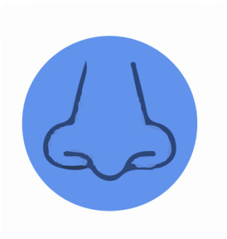 A nose icon