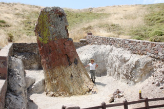 Carole stands next to a massive fossil protruding from the ground.