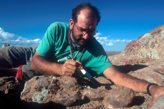 Dr. Luis Chiappe is vice president of research and collections and a curator at the Natural History Museum of Los Angeles County since 1999.