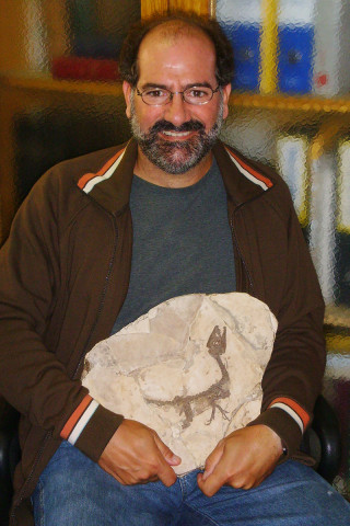 Dr. Luis Chiappe is vice president of research and collections and a curator at the Natural History Museum of Los Angeles County since 1999.