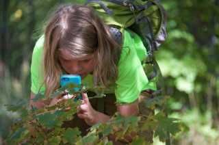 A kid taks a photo of a plant with their phone.
