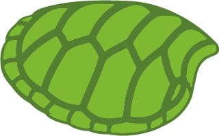 Green turtle shell cartoon