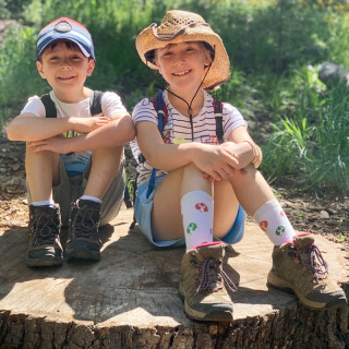 Two kids sit on a tree stump
