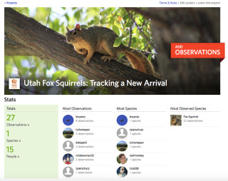 NHMU's iNaturalist Fox Squirrel Project page. © NHMU.