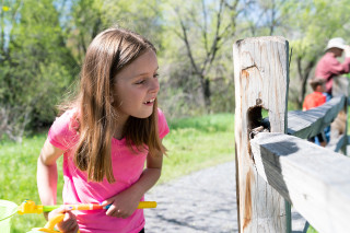 A girl looks at a bug on a fence. 