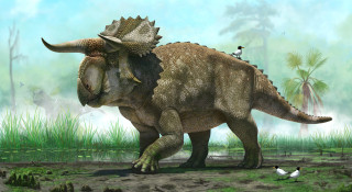 Artist&#039;s reconstruction of Nasutoceratops.