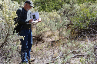 Bruce Pavlik surveys plants in Bears Ears