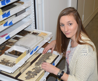 Pierce in a museum&#039;s collections looking at a drawer of fossils.