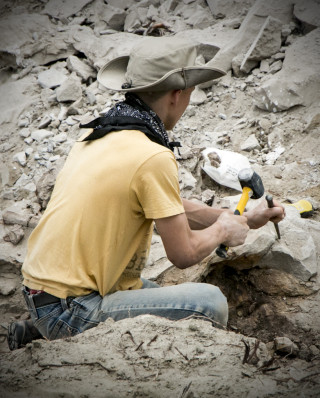 A paleontologist uses a hammer and spike to split a rock.