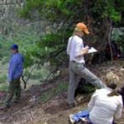 Archaeological Field School