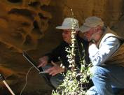 Archaeologists view a laptop while working outdoors.