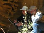 Archaeologists view a laptop while working outdoors.