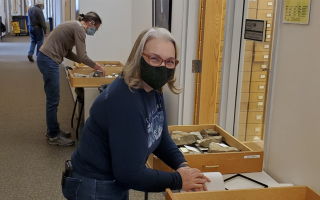  Volunteers Kathy and Teresa help sort through thousands of fossils for transfer to NHMU collections.