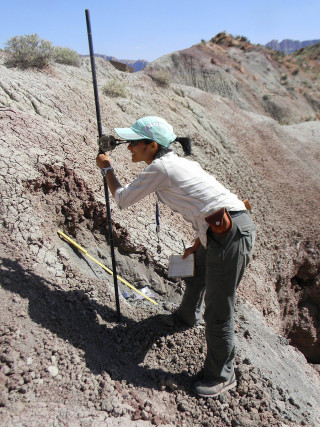 Dr. Celina A. Suarez, assistant professor/coordinator of the Department of Geosciences University of Arkansas