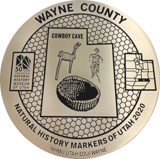 Wayne County marker graphic