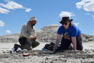 Two paleontologists work dig in badlands. 