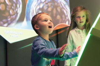 image of two children in the Museum&#039;s Life Exhibit showing wonder and delight