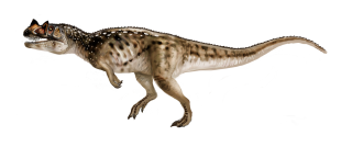 Ceratosaurus