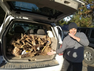 image of researcher in the field exuberantly showing off specimens of fungi collected and visible in the back of an SUV. 