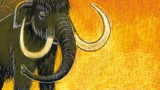 An illustration of a mammoth.