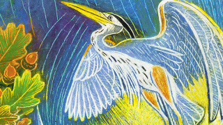 An illustration of a heron.