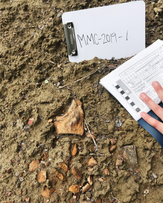 Orange-colored fossils contrast with the dirt around them. 