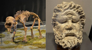 A diptych of a mammoth fossil and sculpture of cyclops. 