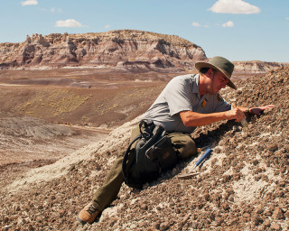 A paleontologist works in badlands. 