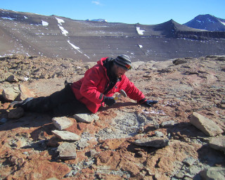 A paleontologist works on exposed rock in the Antarctic. 